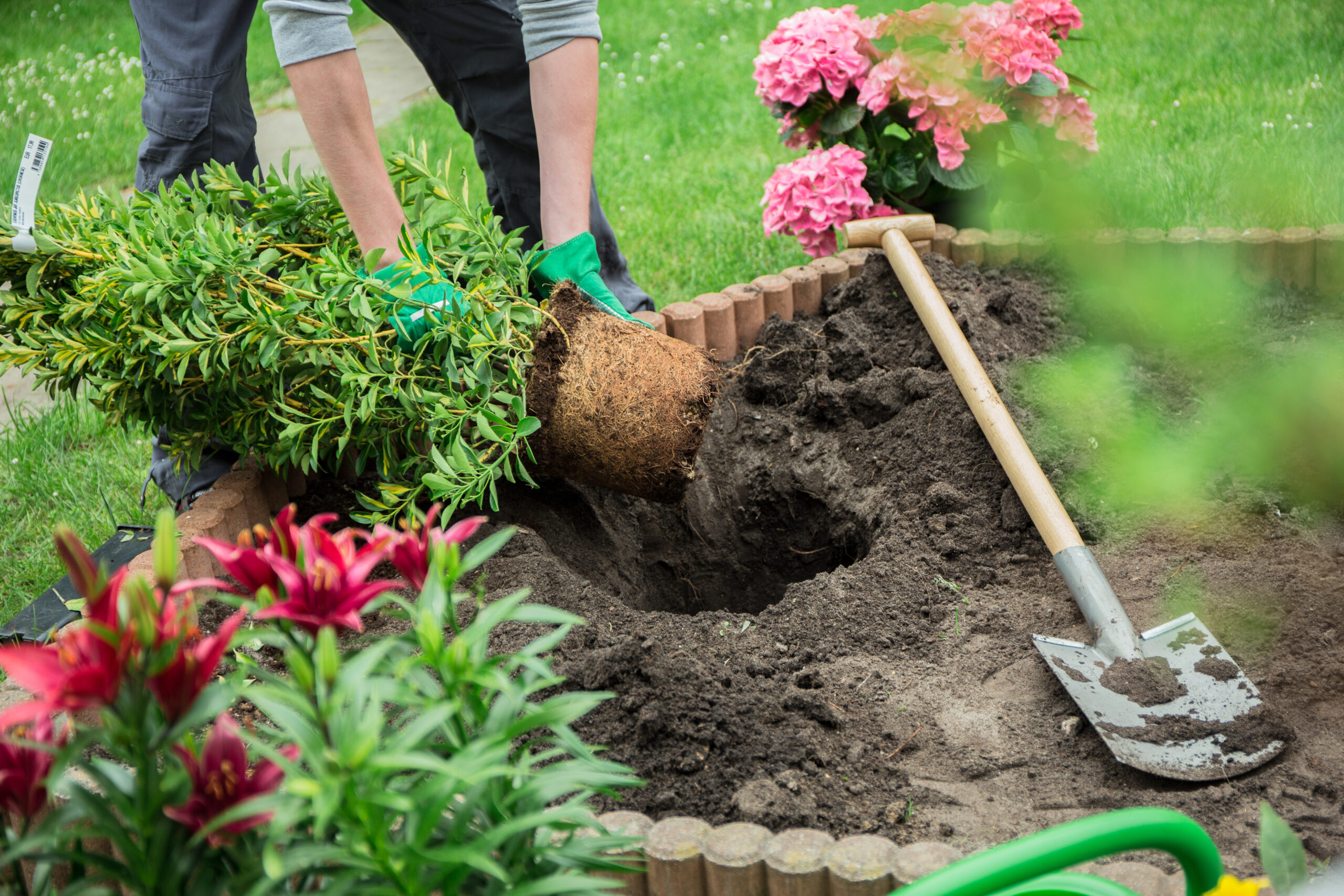 ein junger Mann arbeitet im Garten