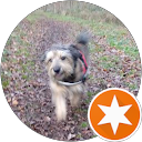 Profilbild von „Wari !!“